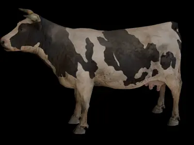 Low  Poly Cow 3D  Model  Low-poly 3D model