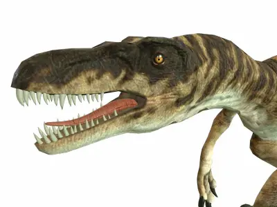 Raptor Low-poly 3D model