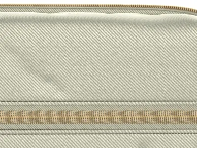 Cosmetic Bag 01 3D model