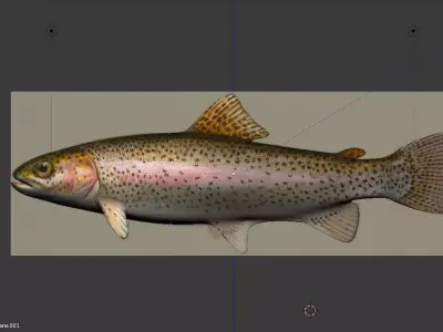 trucha arcoiris Free low-poly 3D model