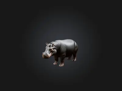 Realistic Hippopotamus Model Low-poly 3D model