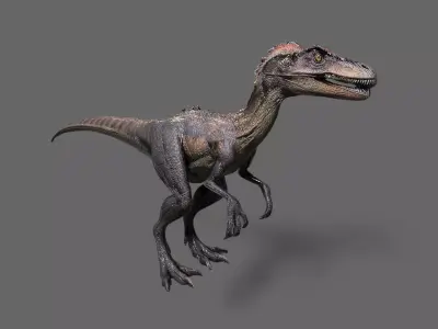 Dinosaurs Pack 6 Low-poly 3D model