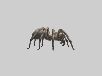 Giant Spider Low-poly 3D model