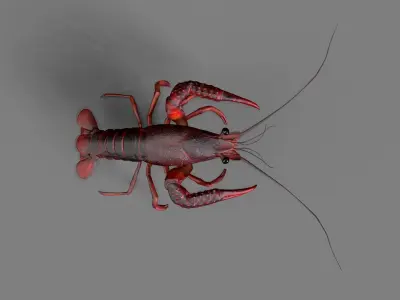 Lobster Rigged for 3Dmax Low-poly 3D model