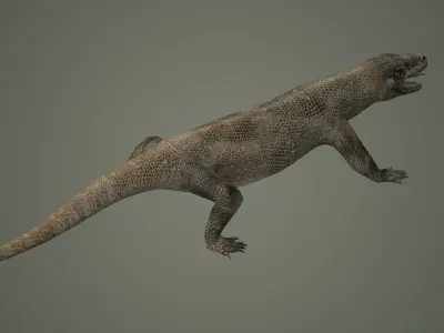 reptile lizard nature dinosaur animal wildlife animals 3D model