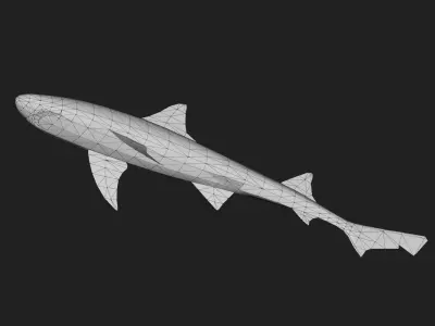 Shark Low-poly 3D model 17