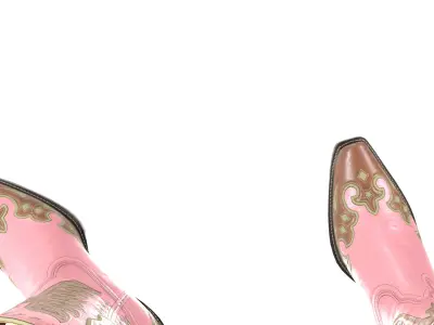 Eagle Star Cowboy Pink Boots 3D model