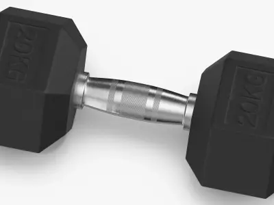 Rubber Dumbbell 20kg 3D model
