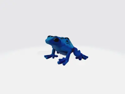 Frog cartoon 3d model Low-poly 3D model