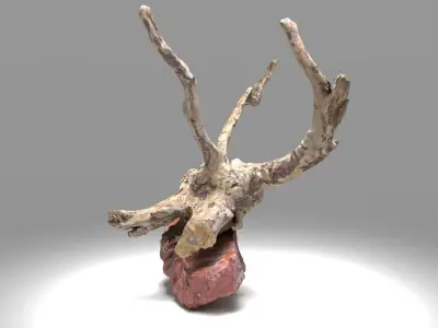 Decorative stone and plant 3D model