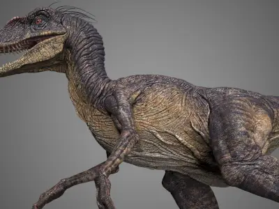 Raptor dinosaur 3D model buy