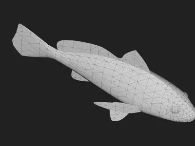 Bass fish Low-poly 3D model 5