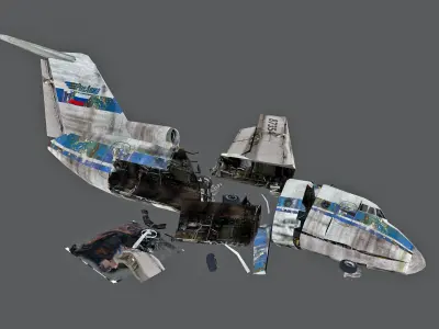 crashed Plane Low-poly 3D model buy