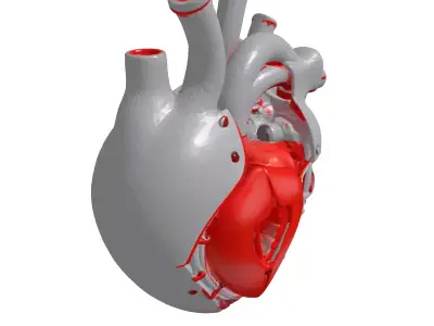 Futuristic Cybernetic Heart 3D Model 3D model