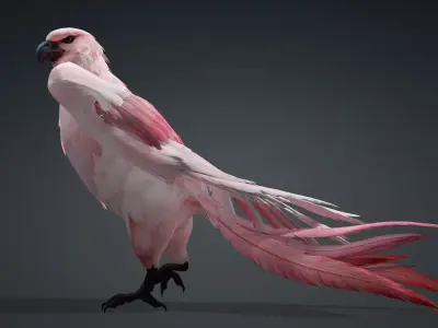 Hawk-A3 3D model