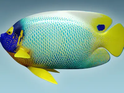 Angle Fish 16 3D model