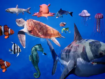 Sea Animals 12 Meshes Low-poly 3D model