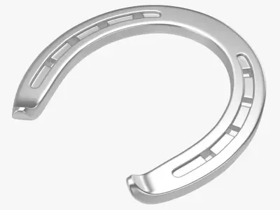 Horseshoe 1 3D model