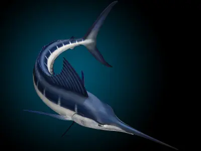 Marlin 3D model buy