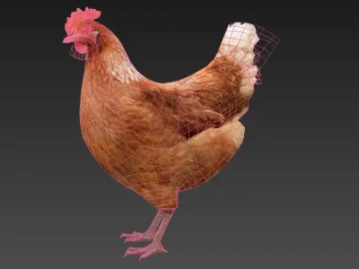 Hen  chicken Low-poly 3D model