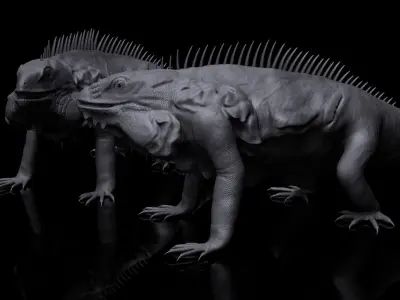 iguana Free 3D model buy