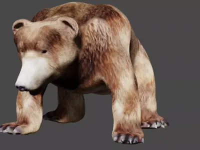Bear With Textures 3D model