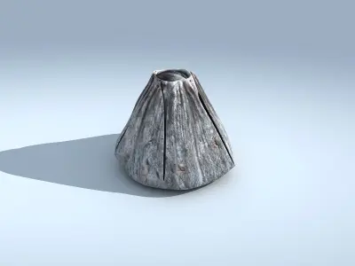 Adult Barnacle Balanus Low-poly 3D model