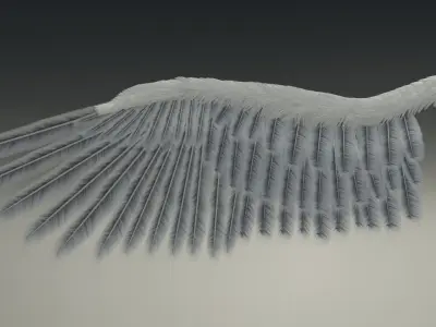 Wing Angels  Bird Low-poly 3D model