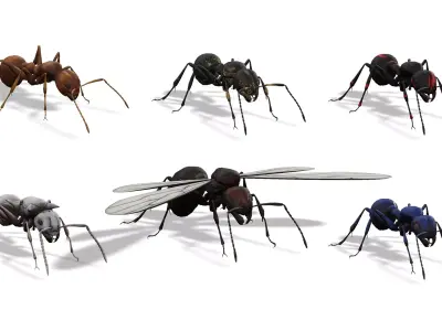 Animated Ant World Rigged Low-poly 3D model