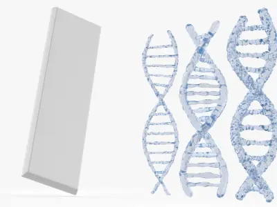 DNA Double Helix Models with Display Stand Blue 3D model
