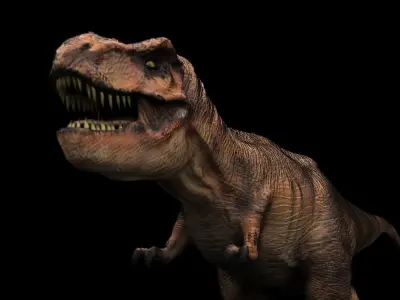 Tyrannosaurus Rex Model Rigged Low-poly 3D model