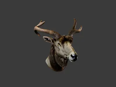 Deer Animal Head Low-poly 3D model order