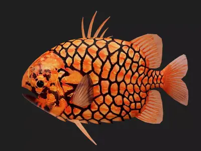 Snapper Low-poly 3D model 11