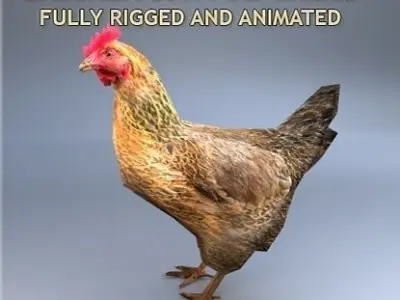 Chicken rigged and animated Low-poly 3D model