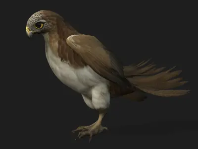 Kestrel B4 3D model