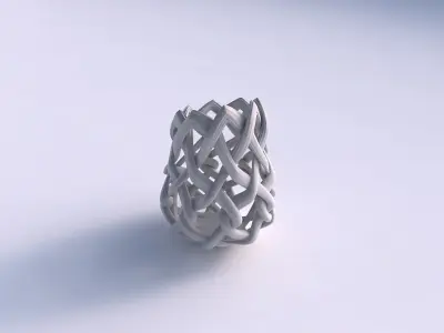 Vase wide on top part with interlacing lattice and extruded l... 3D print model order