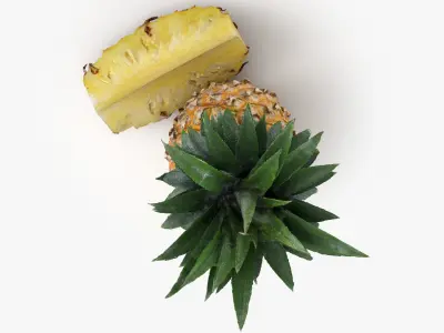 Pineapple Fruit 3D model