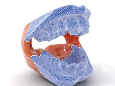 Realistic Dental Model Pack Low-poly 3D model