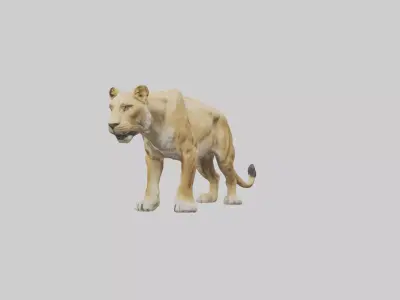 Lioness hunting model Low-poly 3D model