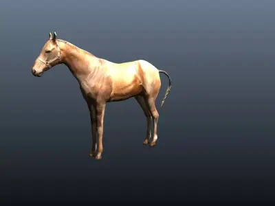 horse 3D model 8