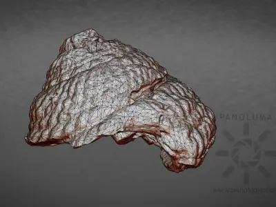 Seashell 3D Scan Free low-poly 3D model