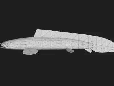 Bichir Low-poly 3D model