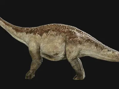 Argentinosaurus 3D (Rigged) 3D model