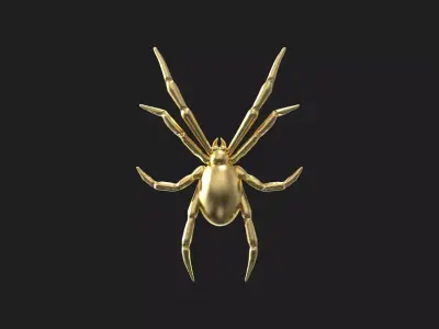 Spider relief 3D print model 3D print model