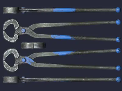 Ticks pincer 3D model