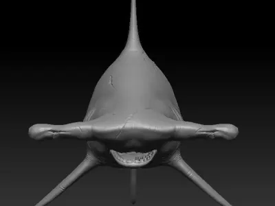 hammerhead shark Low-poly 3D model 7