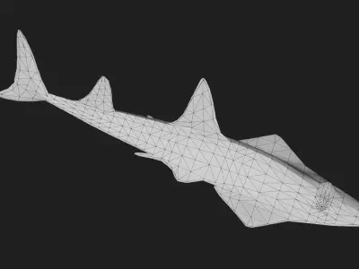 Skate Low-poly 3D model shop
