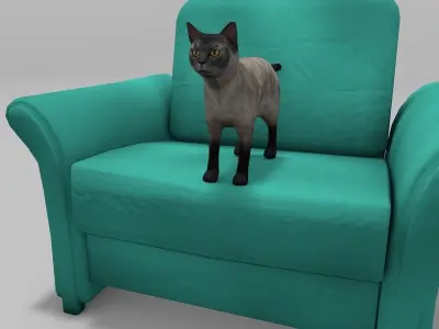 Burmese Cat Rigged Low-poly 3D model