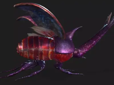 Stenocara A2 Free 3D model