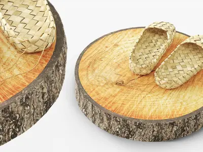  Bast Shoes on Saw Wooden Stump 